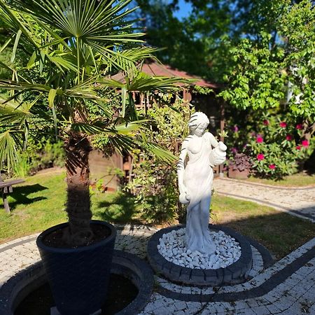 ילנייה גורה Apartament Wlodek מראה חיצוני תמונה