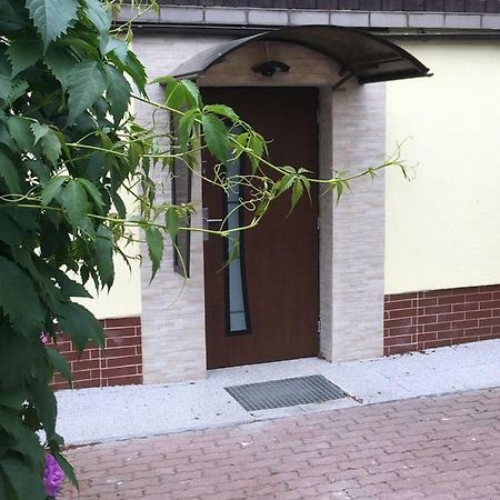 ילנייה גורה Apartament Wlodek מראה חיצוני תמונה