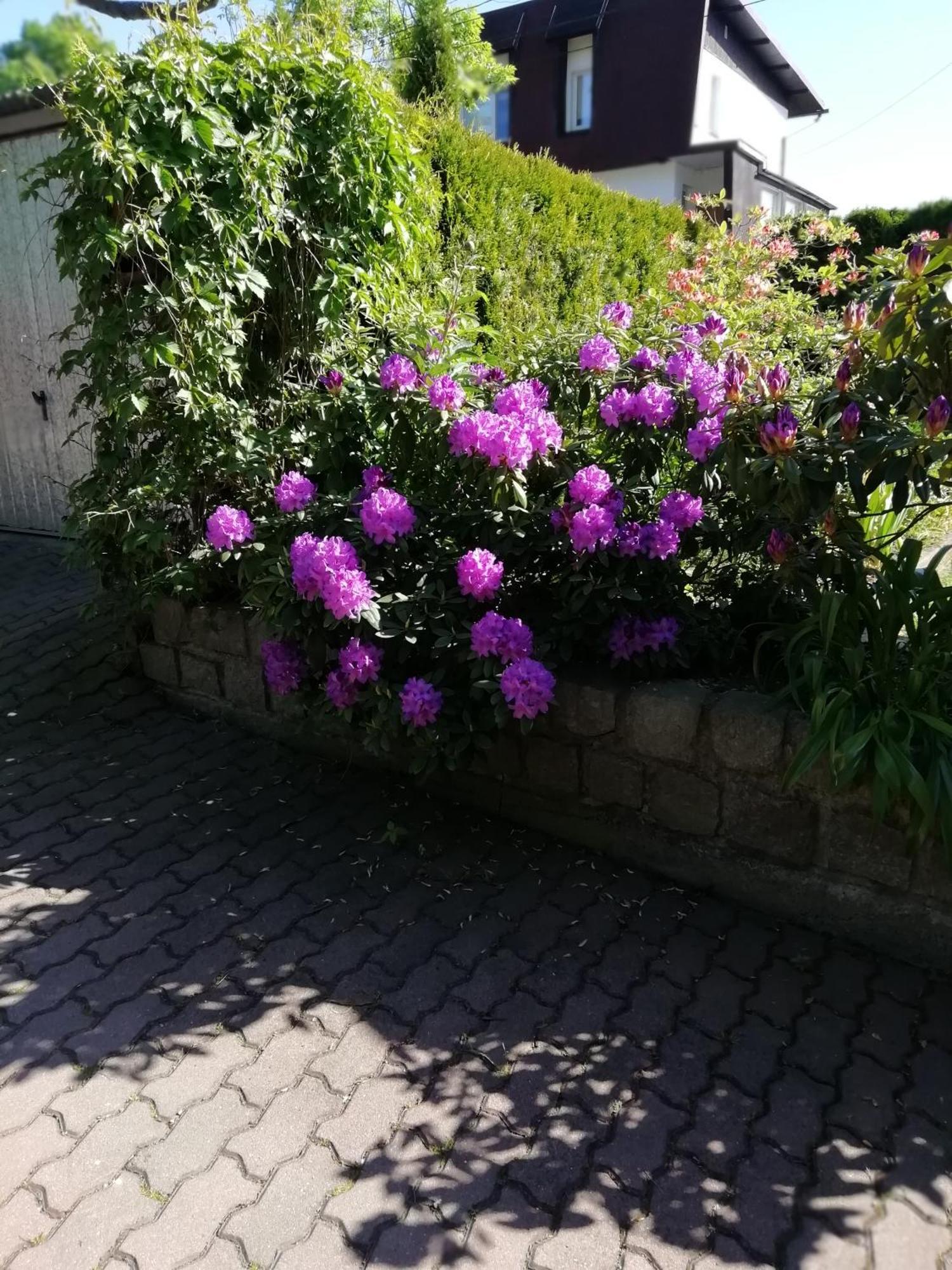 ילנייה גורה Apartament Wlodek מראה חיצוני תמונה