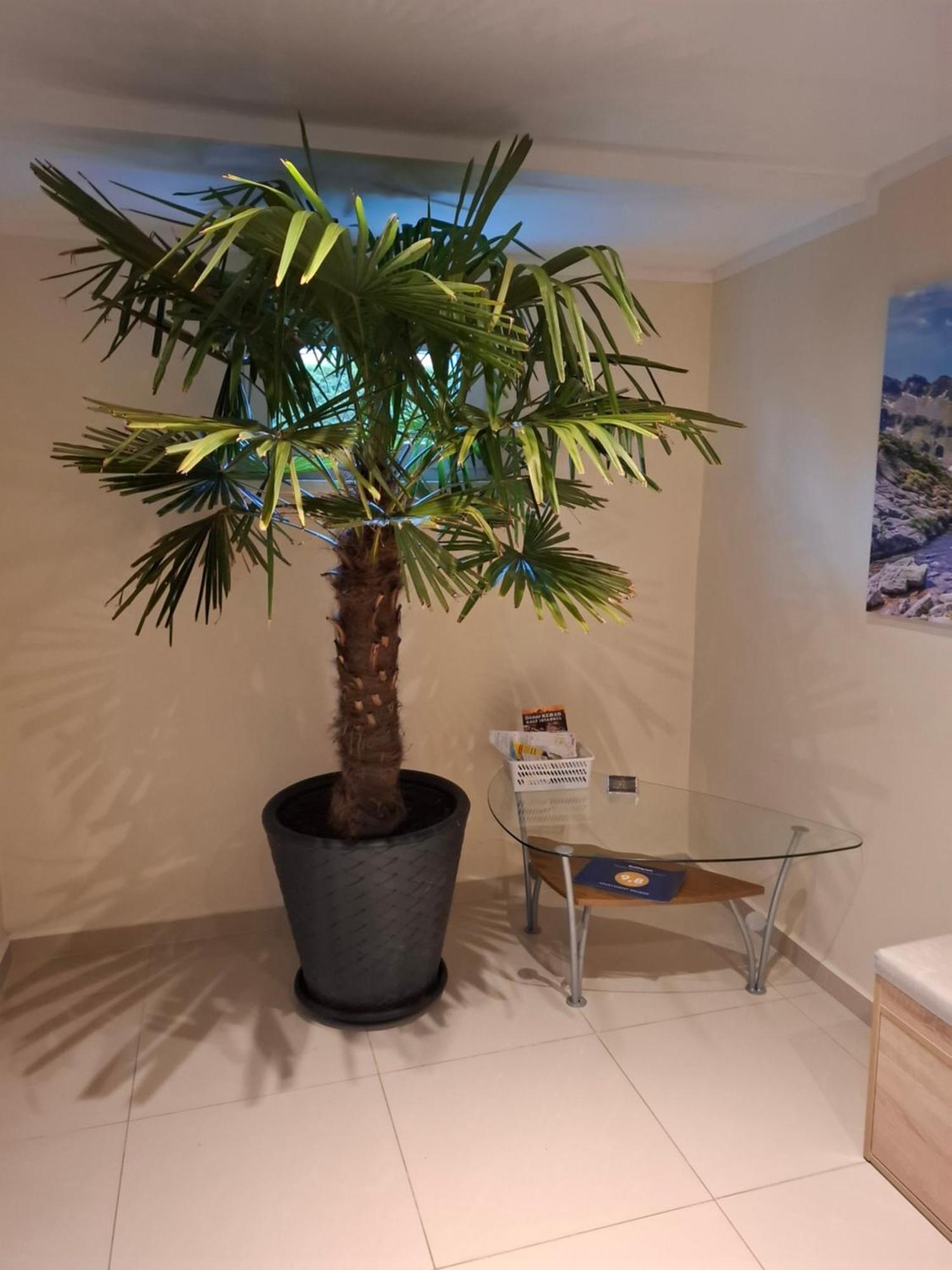 ילנייה גורה Apartament Wlodek מראה חיצוני תמונה